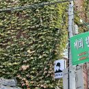 다가여행자도서관 화장실 이미지