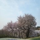 은화삼컨트리클럽10홀휴게실 | 용인 "은화삼cc"