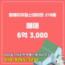 힐스테이트부동산중개사무소 이미지