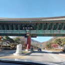 복하천 갈대멋짐길 | 문경새재 도립공원 단풍은 빨강빨강 날씨는 반짝반짝