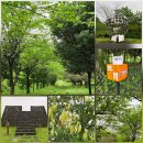 동광공원 공중화장실 | 제주 평화로에서 만날 수 있는 제주 숲길 IUCN 기념숲 숲길도 걷고 제주 국가유산 방문의해 스탬프투어...