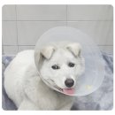 해와달동물병원 이미지