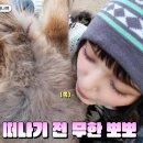 다니엘농장 이미지