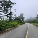 동창모터스 이미지