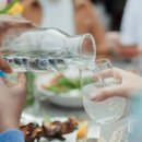 “물 많이 마셔야 살 잘 빠져”… ‘이때’ 마시면 진짜 효과 본다 이미지