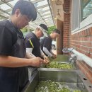 (주)조흥환경