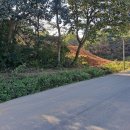 운천개발