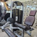 최신헬스클럽 이미지