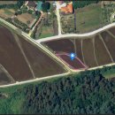 대술농장 이미지