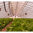 정은농장 이미지