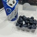 웰아이안경 | 빌베리 루테인 꼭 필요할까? 2주만에 눈 건조 줄어든 후기