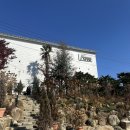 아르세 | [통영 아르세] 통영 오션뷰 신상카페 아르세 다녀온 후기🥐