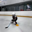 동천스포츠 | 🏒 노원아이스하키 아이가 즐겁게 다니는 동천타이거샥스 후기
