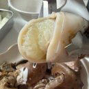 문어대장 | 가락시장 보양수산 쭈꾸미 구매 후기! 또또~또 또!! 간집 feat. 숭어