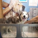 프랜드24시 이미지