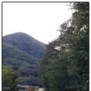 인권 행정사사무소 네이버블로그