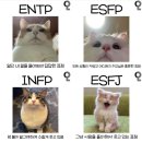 서울외국어고등학교 이미지