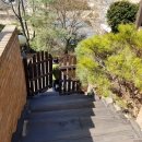 여주-0737 이미지