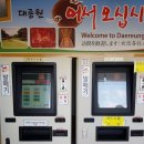미추맑은향기 | [리얼 여행 후기] 경주 천마총 대릉원 산책, 뒤늦게 찾은 벚꽃 명당