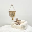 온니애견미용 이미지