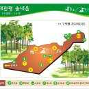 대관령 솔내음 오토 캠핑장 이미지