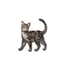 그랑블루 이미지