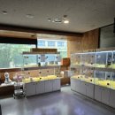 펫퍼스트 24시 강아지분양 고양이분양 이미지