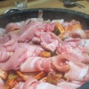 황금산꼼장어