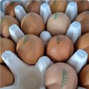 목욕농장 이미지