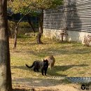 [2022.11.08.~2022.11.14.] 이번 한 주도 바쁘게 살았구만~