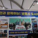 보령 만나