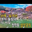 지리산 깊은 산속에 신선이 사는 거대한 선국이 있다-단풍에 물든 삼성궁 이야기 이미지