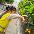 원광농장 이미지