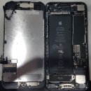 수원-0954 이미지