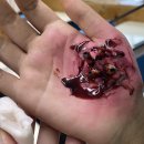 북원중학교 이미지