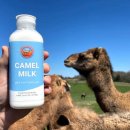 쌍봉축산 이미지