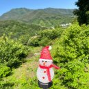 섬진강 더골드 | 전남 구례 단체 가족 여행 독채펜션 “섬진강 더골드” (Feat. 구례하나로마트)