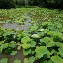 황토 농장 이미지