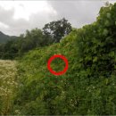 안성면102 이미지