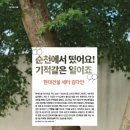 순천-49호 이미지