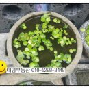 삼부골든타워 이미지