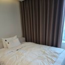[월미도]베니키아더블리스호텔 인천 가성비 호캉스 추천 애견동반 호텔 조식까지 공짜