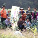 영희농장 이미지