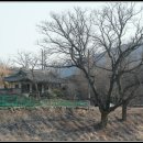 광산천 | 안동의 정자, 석포정(石浦亭)_190210