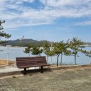 신동습지 이미지