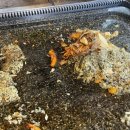 산촌생구이 이미지