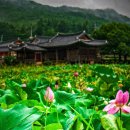 (주)선산섬 네이버블로그