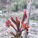 홍가농장 이미지