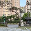 한정식 소나무 앞 이미지