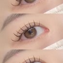 홍미뷰티